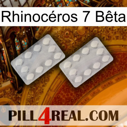 Rhinocéros 7 Bêta 17